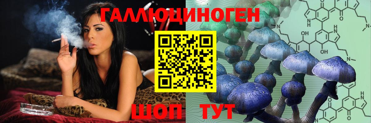 Ачхой-Мартан  Галлюциногенные грибы GOLDEN TEACHER  Вход с VPN 