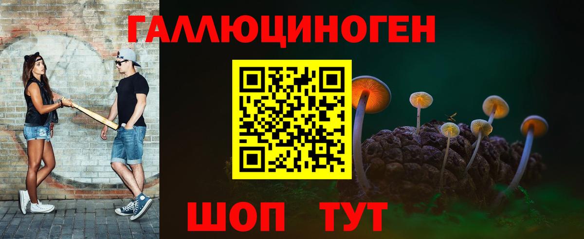 Псилоцибиновые грибы MAGIC MUSHROOMS Ачхой-Мартан